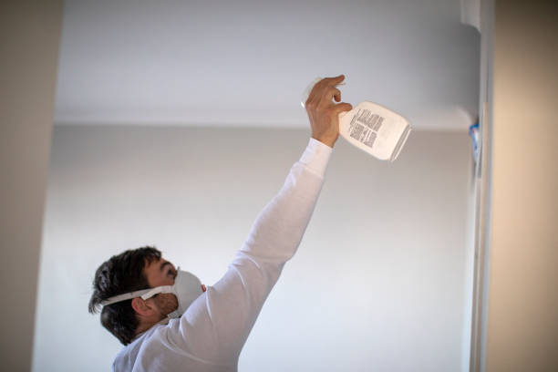 Best Industrial Mold Remediation in Shawneetown, IL