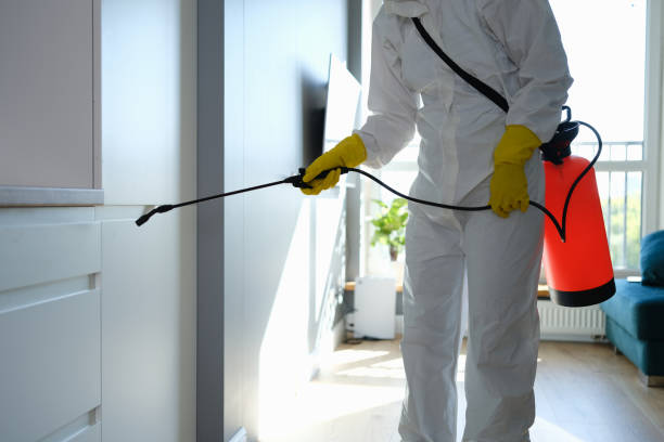 Best Mold Remediation for Specific Building Types in Shawneetown, IL