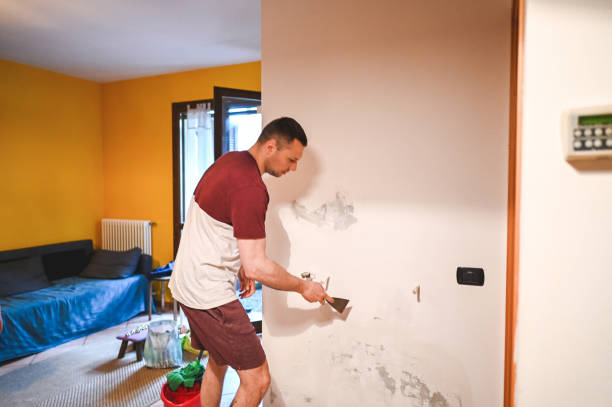 Best Commercial Mold Remediation in Shawneetown, IL